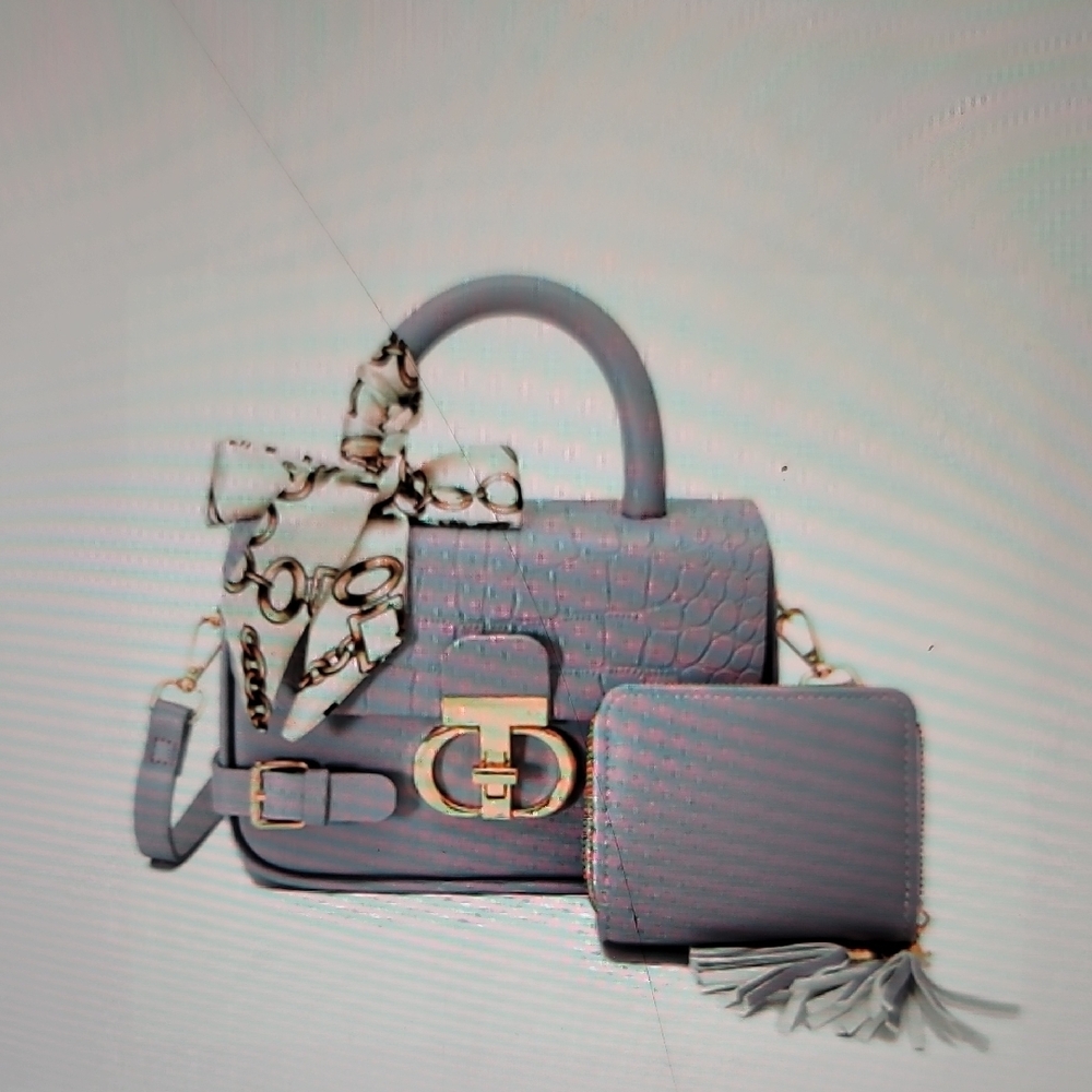 Elegant Mini Gray Handbag Set